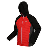 Regatta Andreson VII Mens Softshell Padded Hybrid Jacket