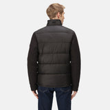 Regatta Mens Firmilien Insulated Padded Winter Jacket