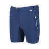 Regatta Mens Mountain Lightweight Shorts