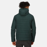 Regatta Mens Daxford Winter Hooded Insulated Jacket