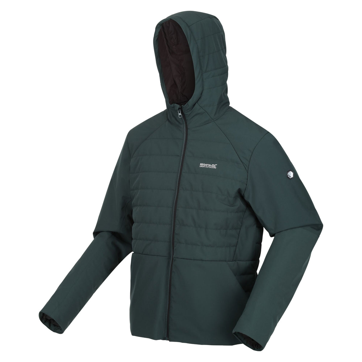 Regatta Mens Daxford Winter Hooded Insulated Jacket