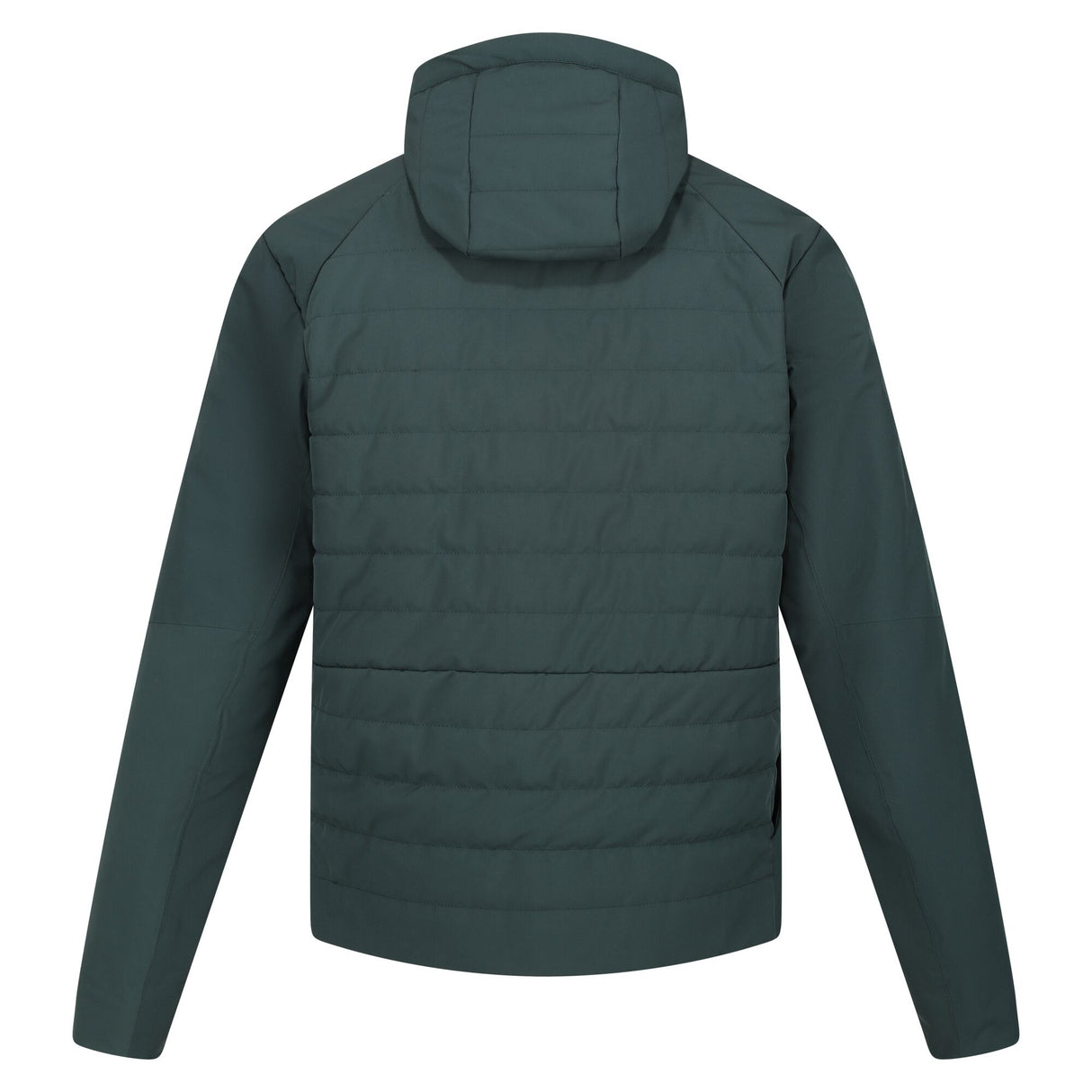 Regatta Mens Daxford Winter Hooded Insulated Jacket