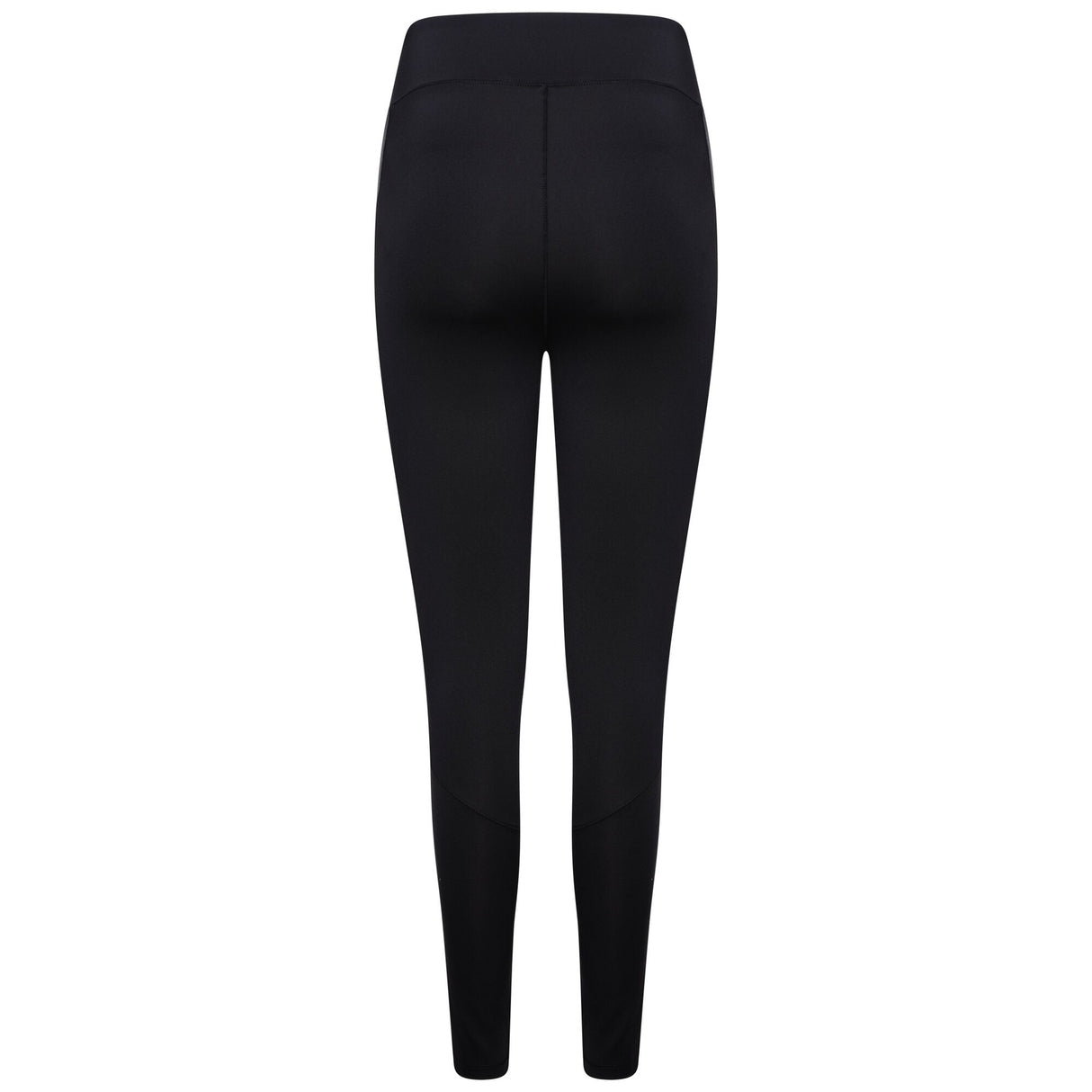 Dare2b Womens Shine Brite Gym Leggings