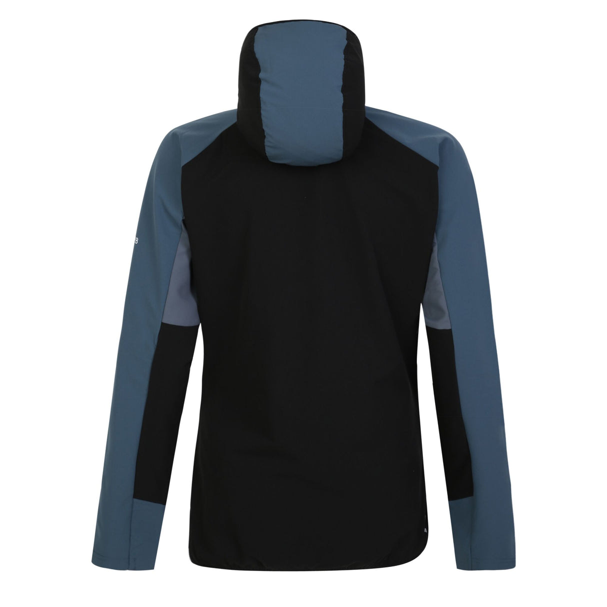 Dare2b Womens Avidly Hooded Softshell Jacket