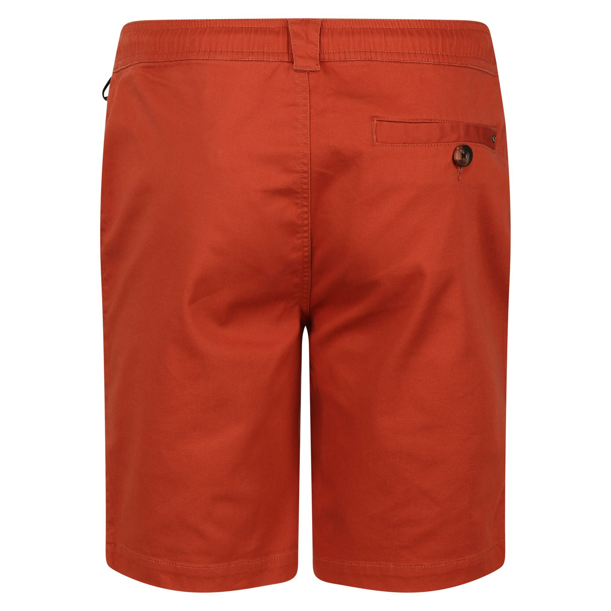 Regatta Mens Albie Casula Chino Shorts