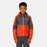 Regatta Kids Acidity VI Lightweight Softshell Jacket