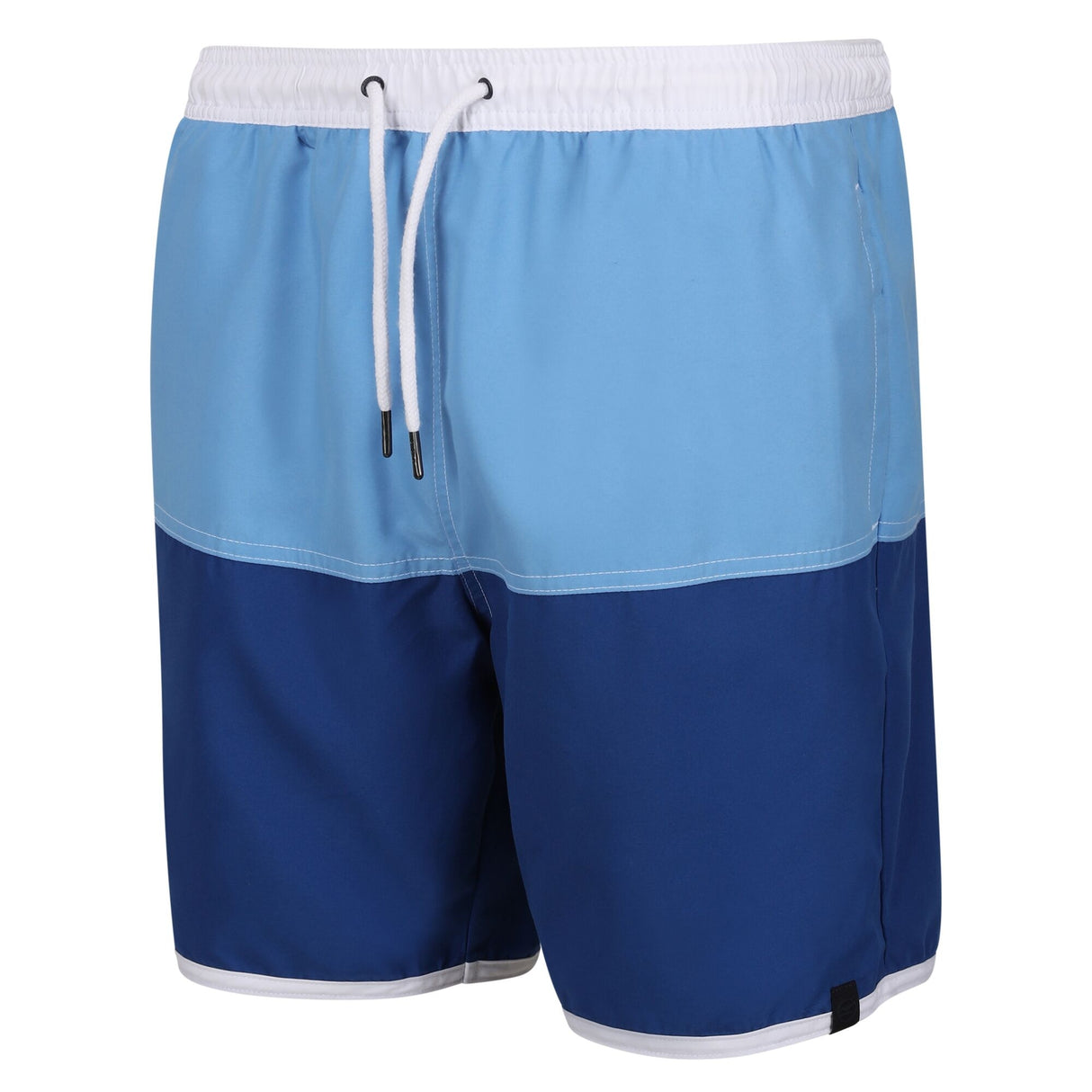 Regatta Mens Benicio Swim Shorts