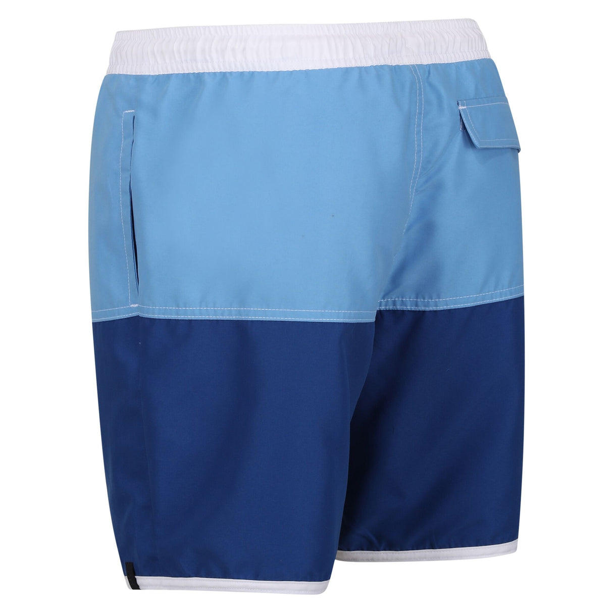 Regatta Mens Benicio Swim Shorts