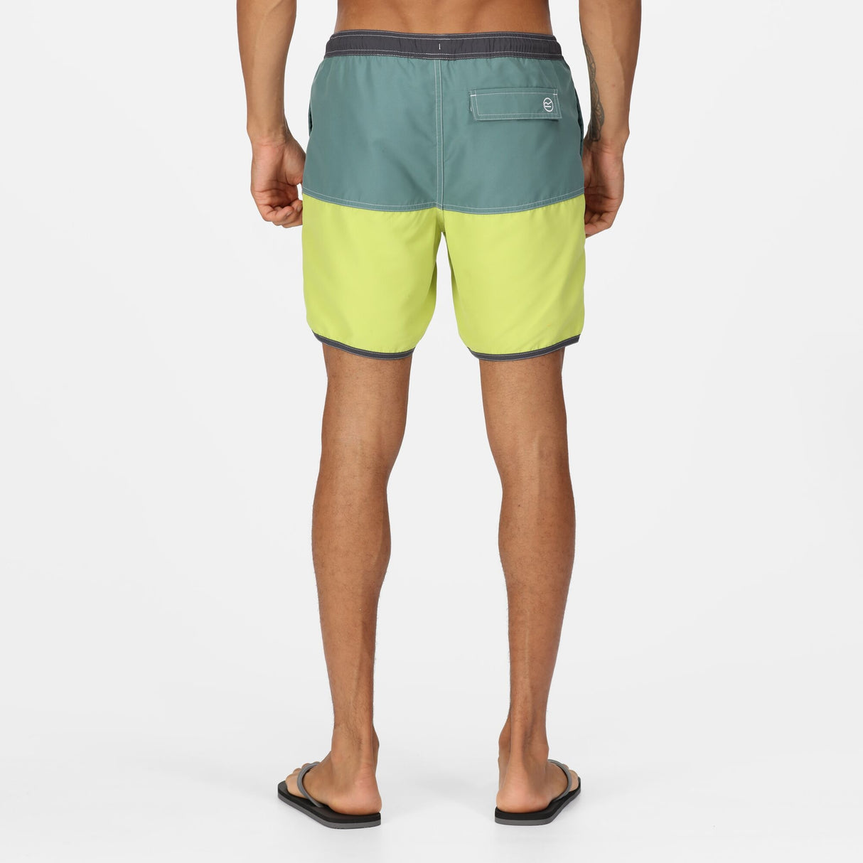 Regatta Mens Benicio Swim Shorts