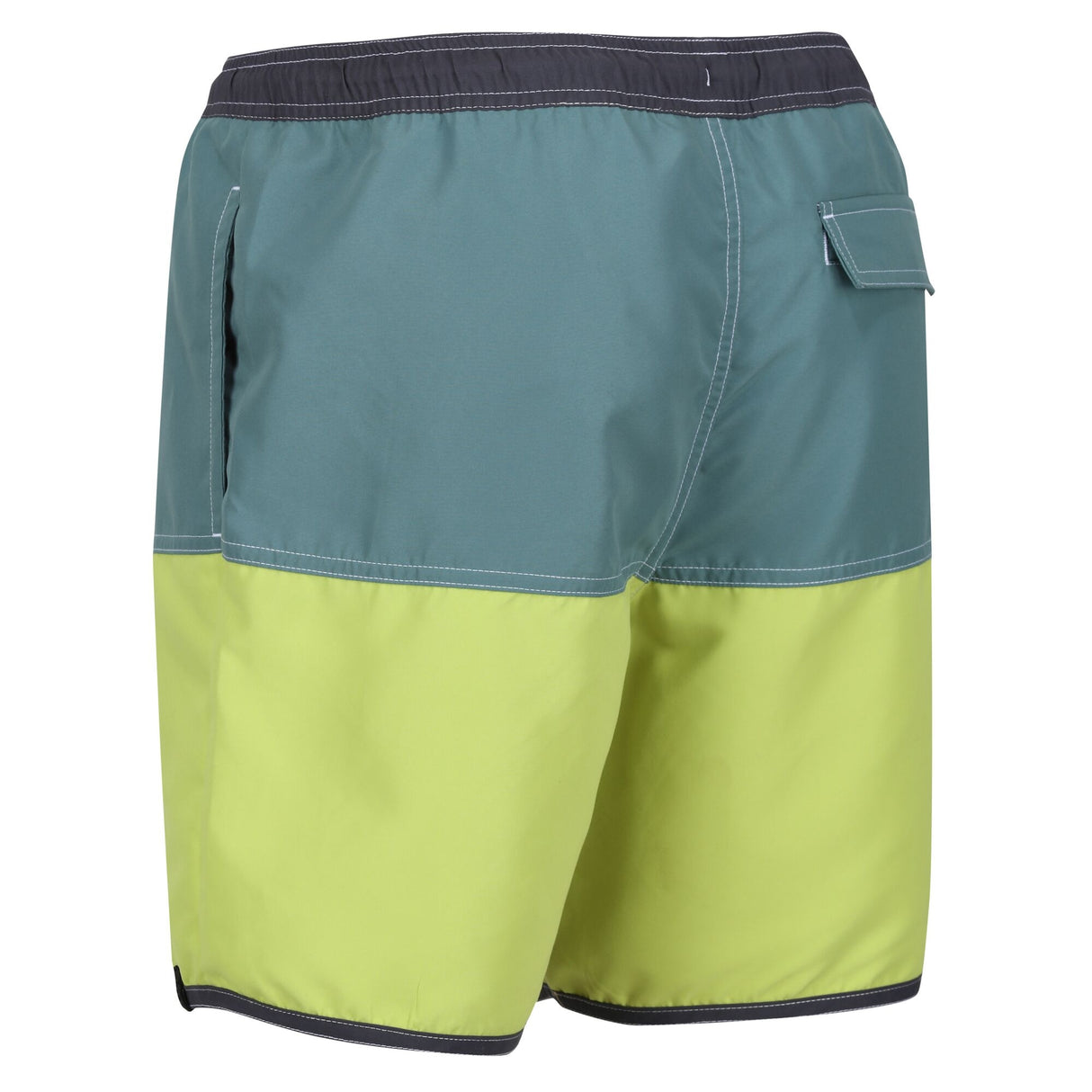 Regatta Mens Benicio Swim Shorts