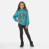 Regatta Kids Junior Highton Extol Stretch Printed Hoody