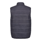 Regatta Mens Firedown Down Touch Insulated Bodywarmer