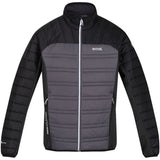 Regatta Mens Halton V Lightweight Insulated Padded Jacket