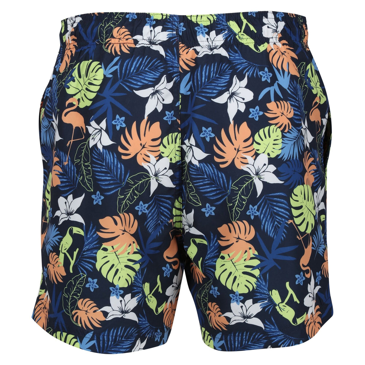 Regatta Mens Loras Swim Shorts