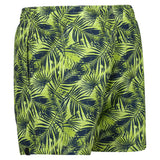 Regatta Mens Loras Swim Shorts