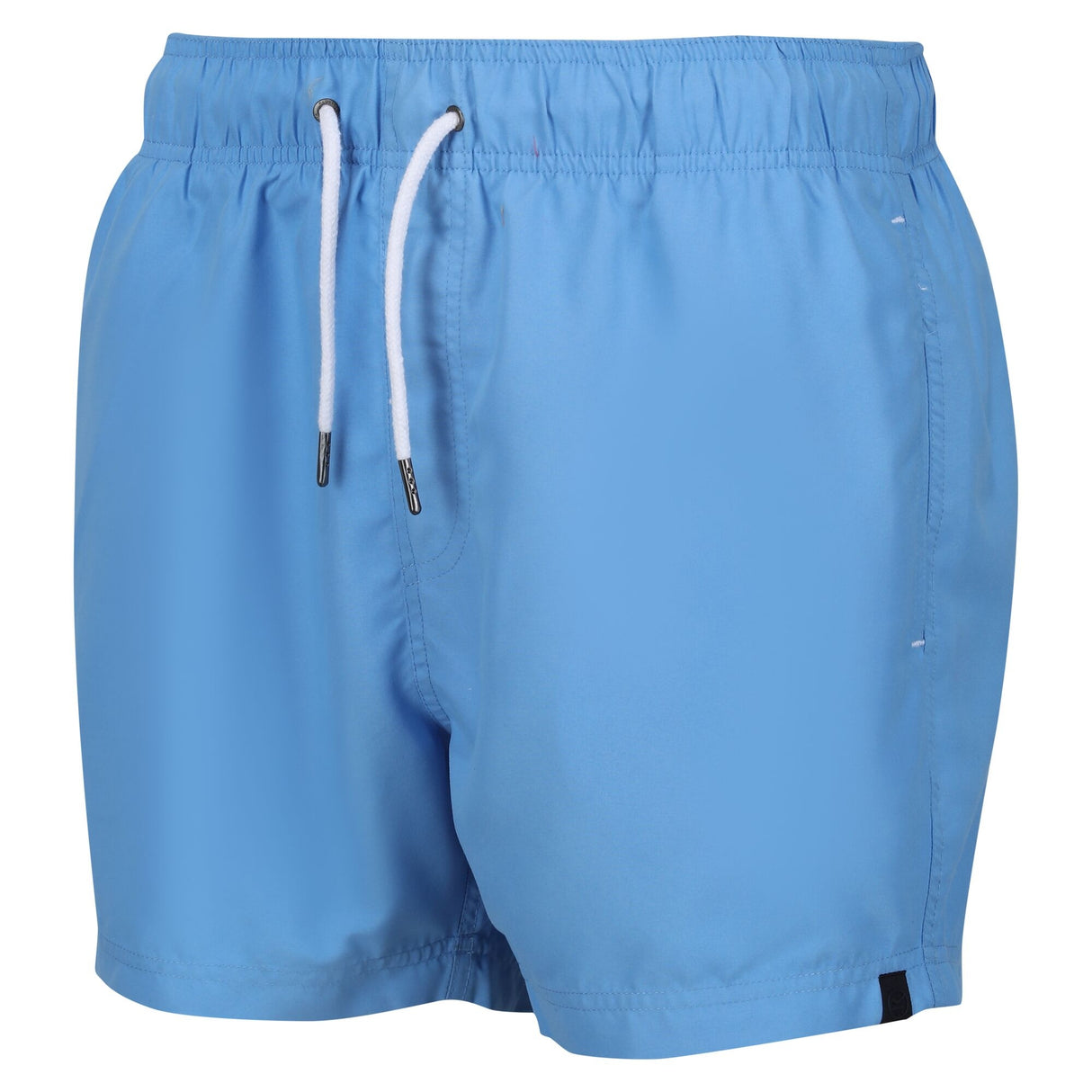 Regatta Mens Mawson III Swim Shorts