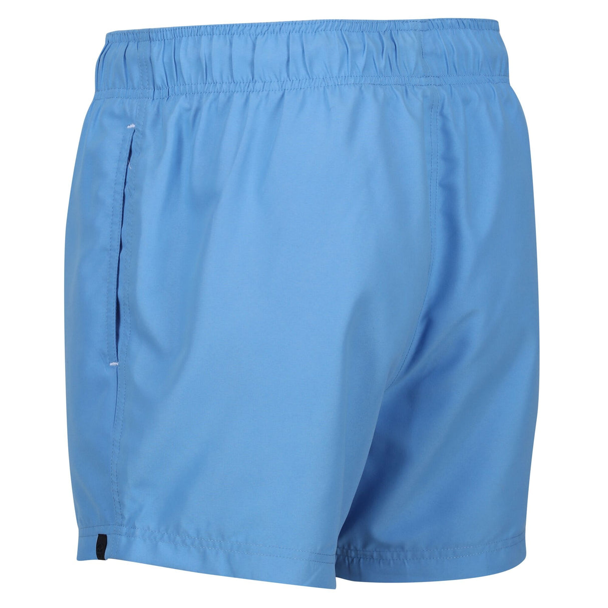 Regatta Mens Mawson III Swim Shorts