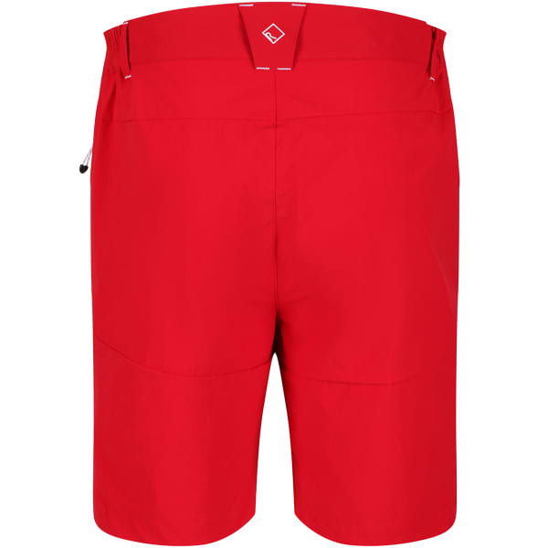 Regatta Mens Mountain Lightweight Shorts