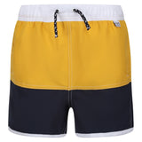 Regatta Kids Sergio Lined Swim Shorts